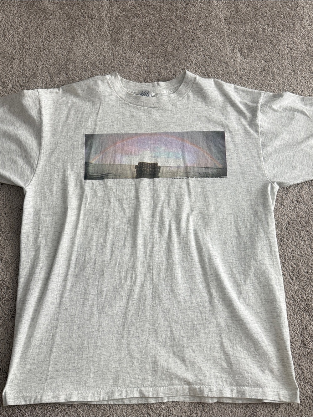 Vintage 1994 The Cranberries No Need To Argue World Tour T-Shirt XL 24” x 30”